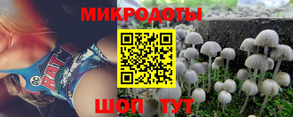Галлюциногенные грибы MAGIC MUSHROOMS Кольчугино