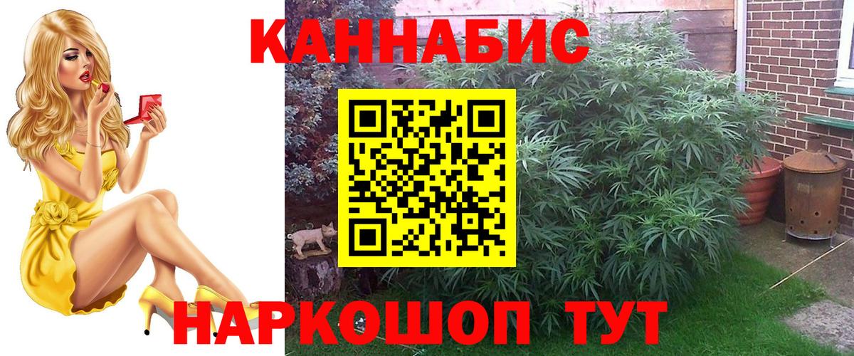 Конопля план  МАРИХУАНА Bruce Banner  Вход с VPN  Кольчугино  Каннабис план  Бошки марихуана Bruce Banner 